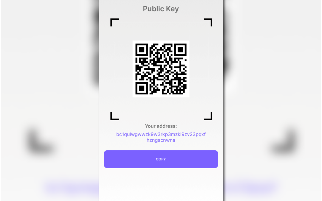 How to view your public key and receive Crypto in your Dopamine wallet