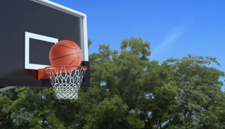 Basketball in Switzerland